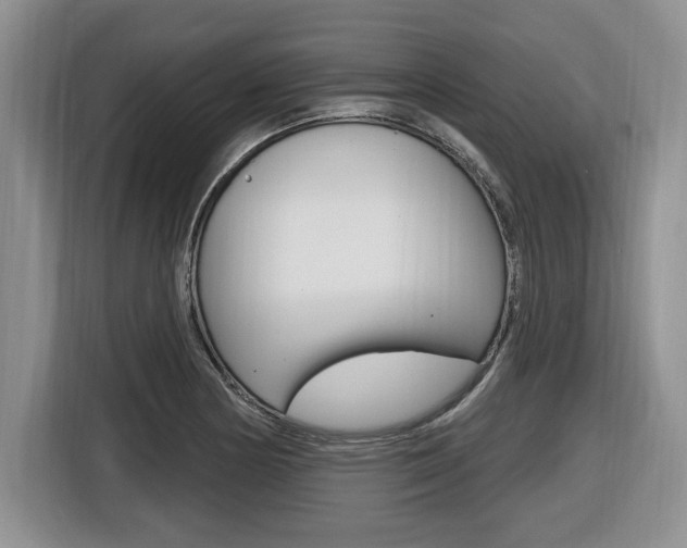 X0000116451178200912081407