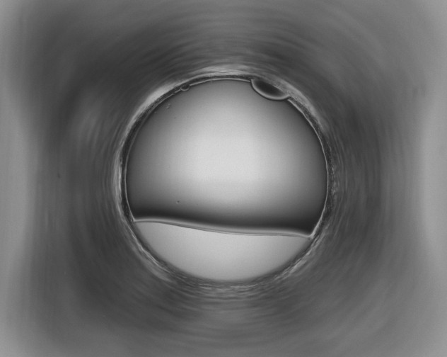 X0000116451179200912081407
