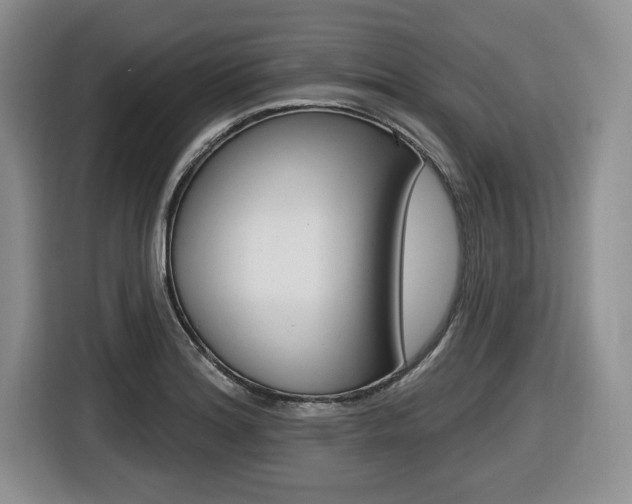X0000116451180200912081407