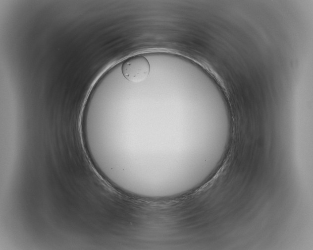 X0000116451181200912081407