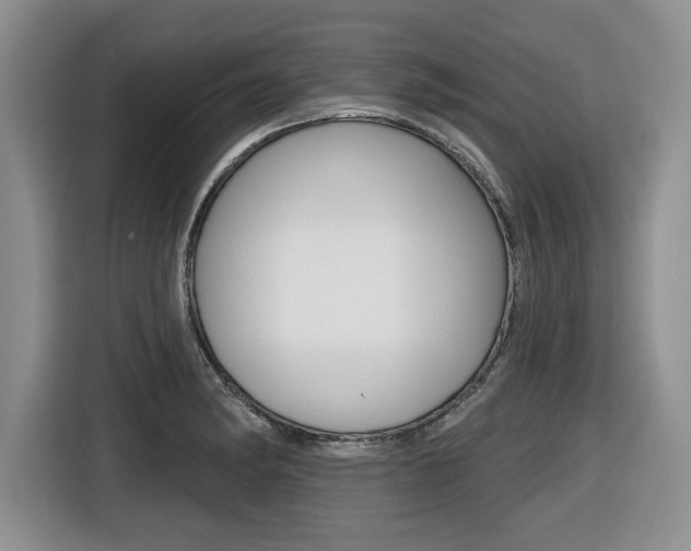X0000116451182200912081407