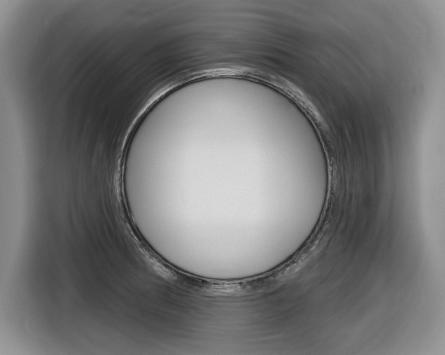X0000116451186200912081407