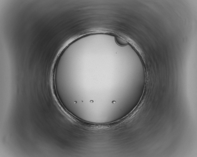 X0000116451187200912081407