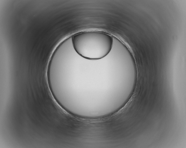 X0000116451189200912081407