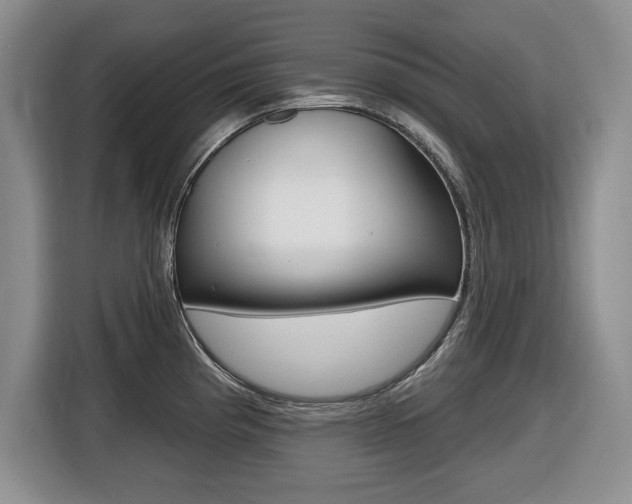 X0000116451193200912081407