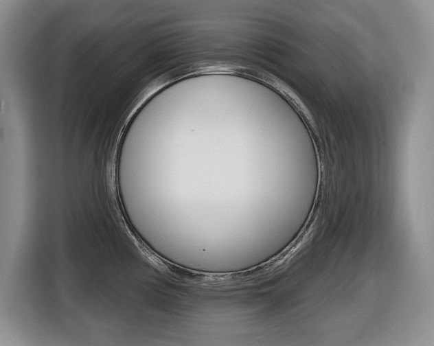 X0000116451194200912081407