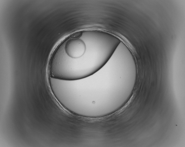 X0000116451196200912081407