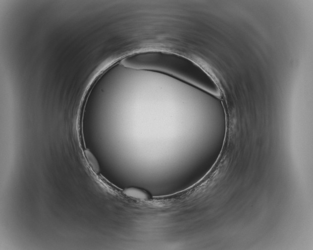 X0000116451197200912081407