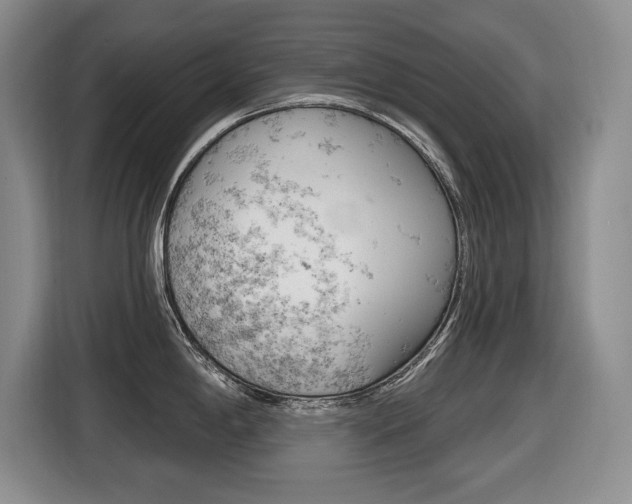 X0000116451198200912081407