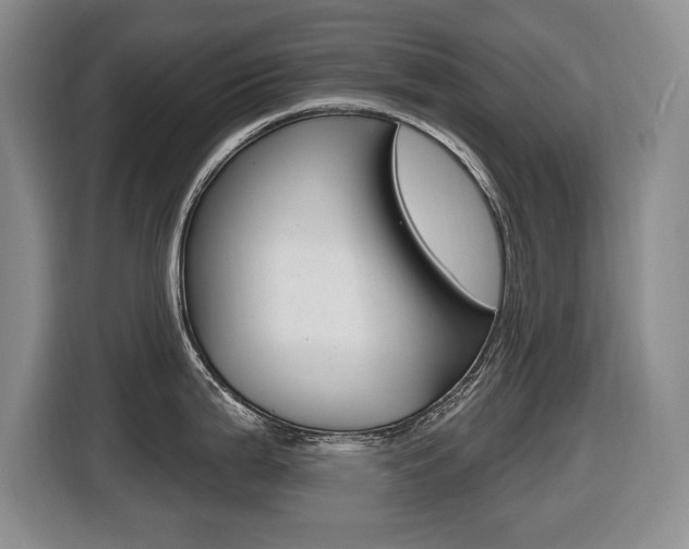 X0000116451199200912081407
