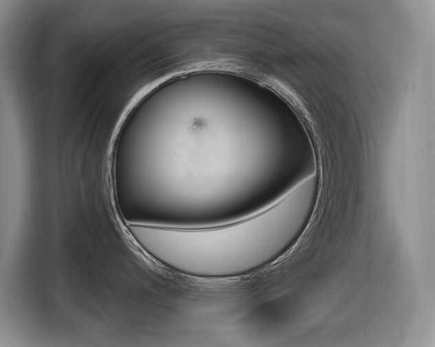 X0000116451200200912081407