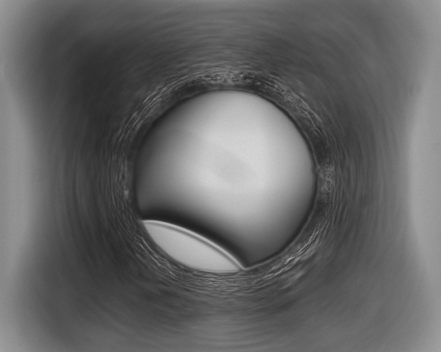 X0000116451202200912081406