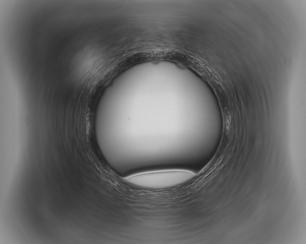 X0000116451204200912081407