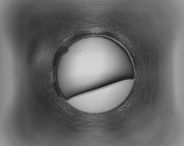 X0000116451205200912081407