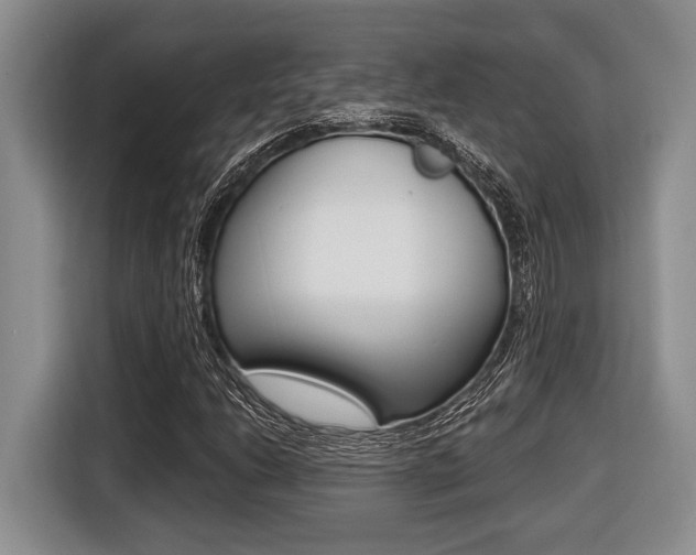 X0000116451206200912081407