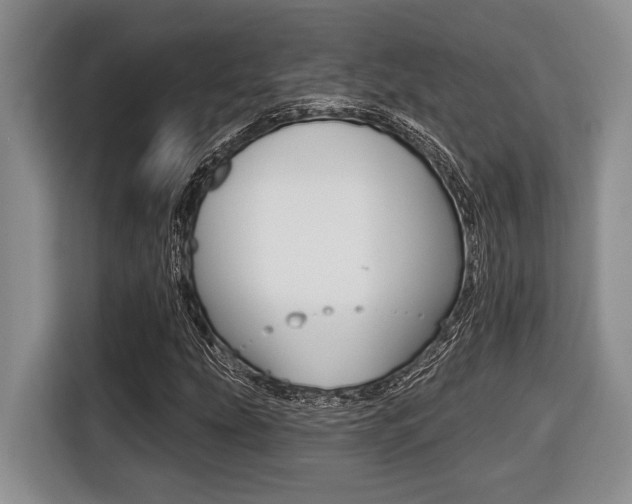 X0000116451207200912081407