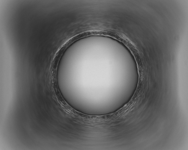 X0000116451208200912081407