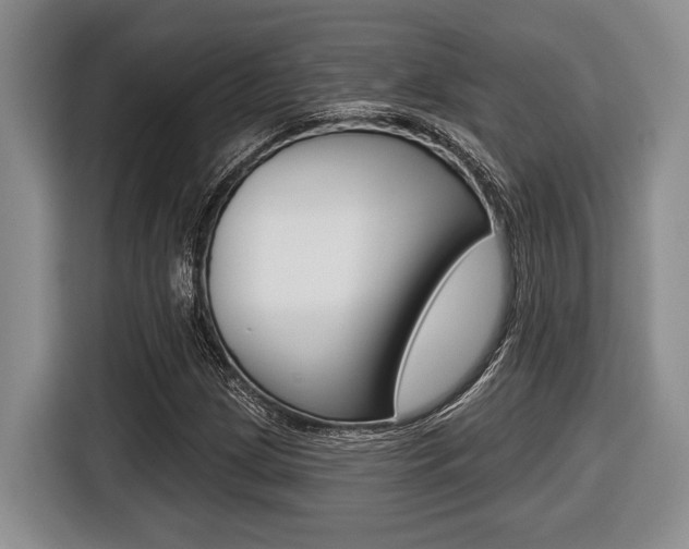X0000116451209200912081407