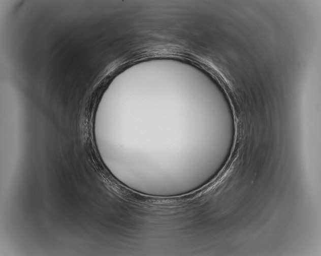 X0000116451211200912081407