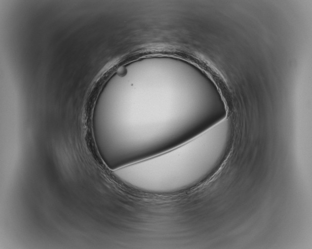X0000116451213200912081407