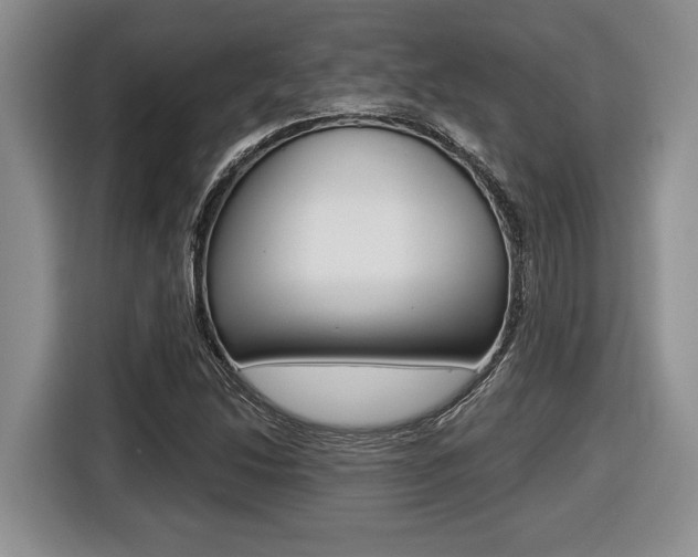 X0000116451214200912081407