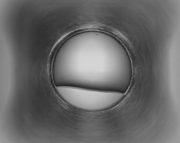 X0000116451216200912081407