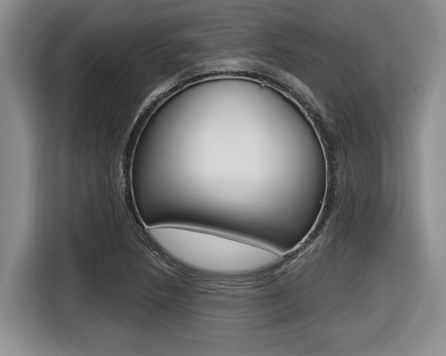 X0000116451218200912081407