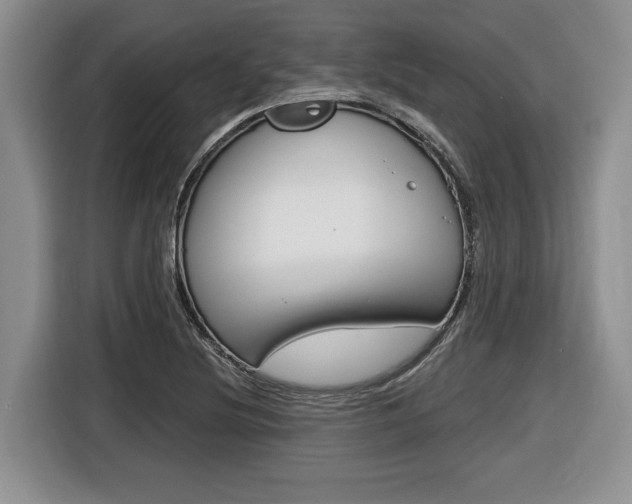 X0000116451220200912081407