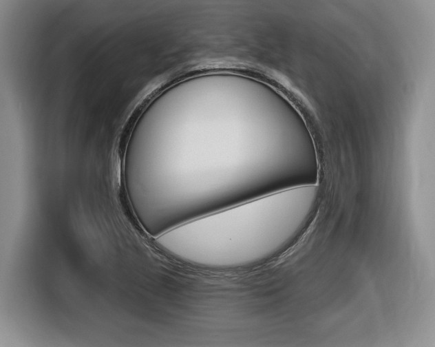 X0000116451221200912081407