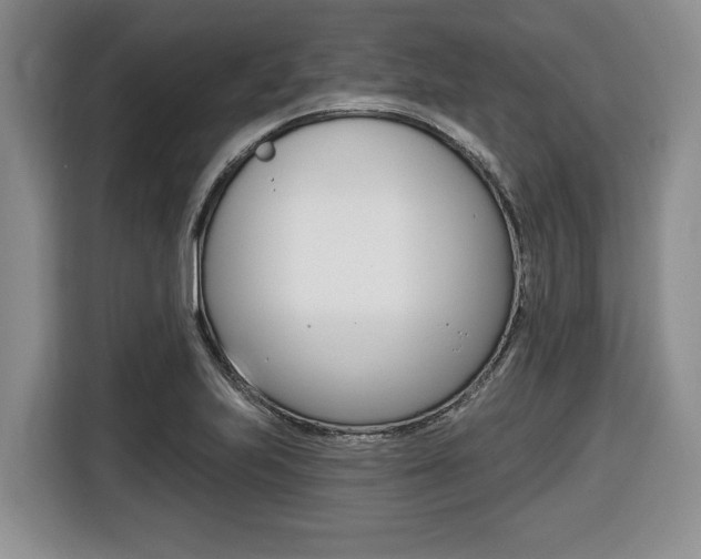 X0000116451223200912081407