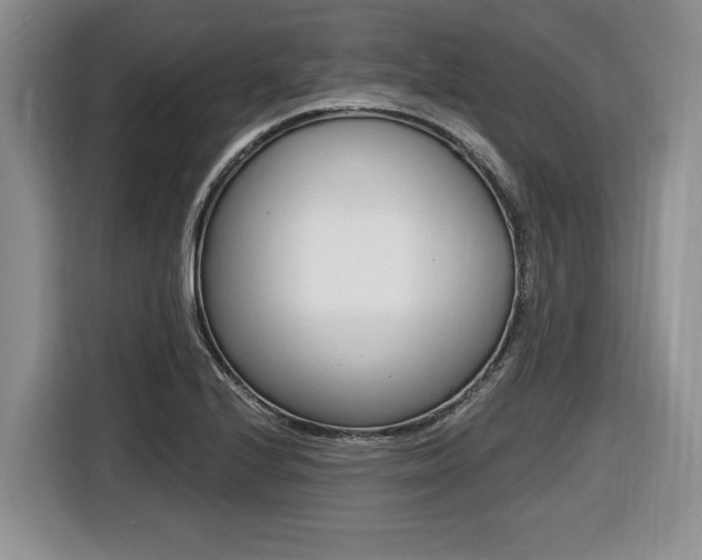 X0000116451224200912081407