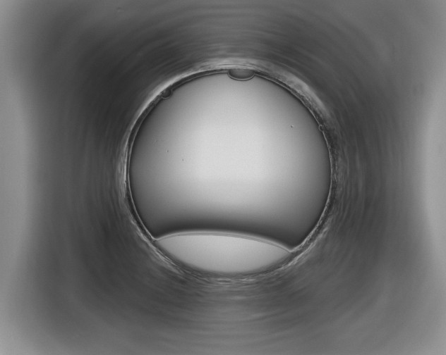 X0000116451228200912081407