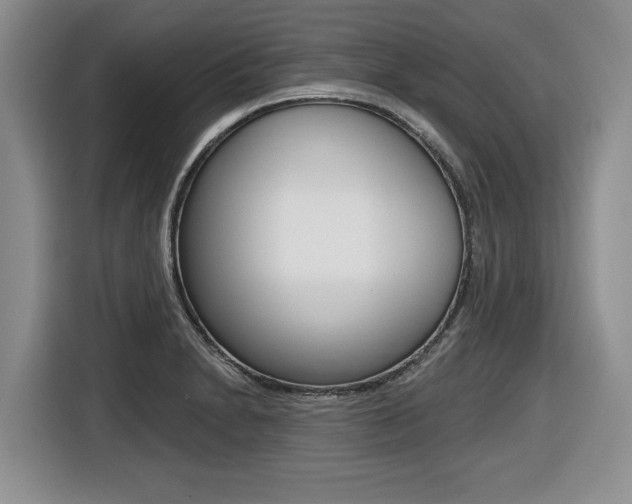 X0000116451230200912081407