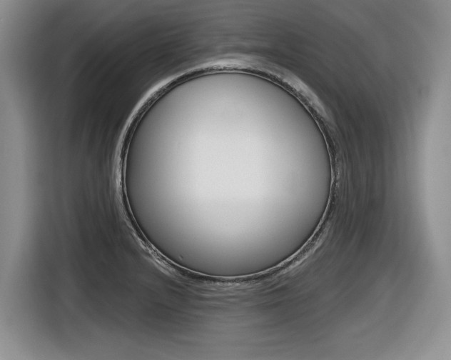 X0000116451232200912081407