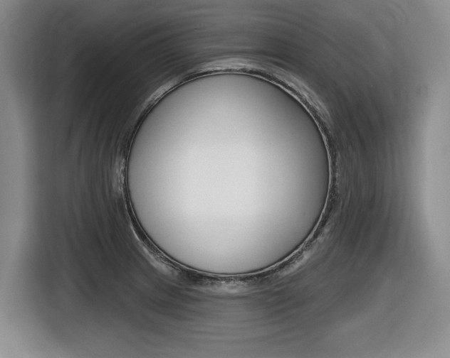 X0000116451233200912081407
