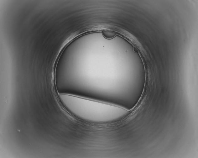 X0000116451234200912081407