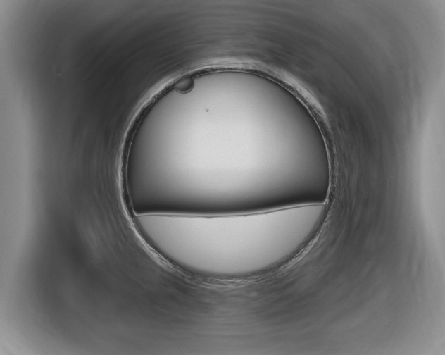 X0000116451237200912081407