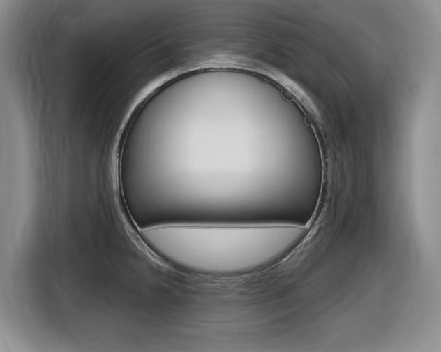 X0000116451238200912081407