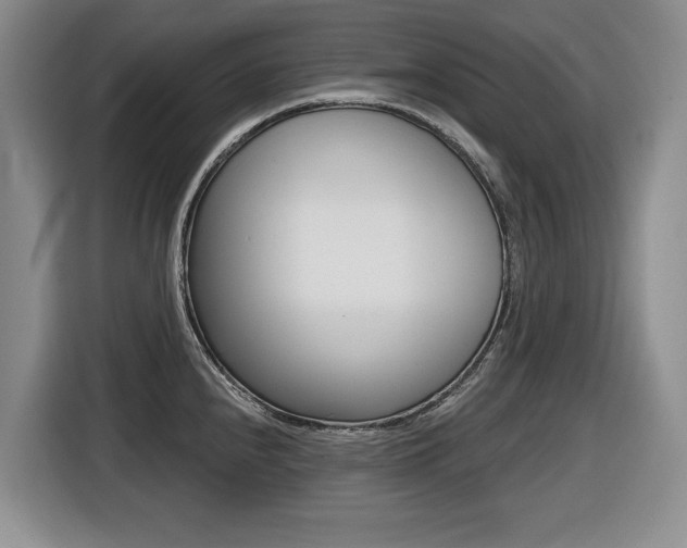 X0000116451240200912081407