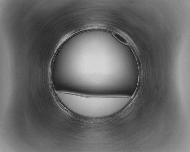 X0000116451242200912081407