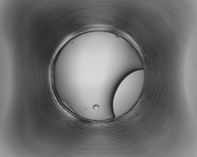X0000116451243200912081407