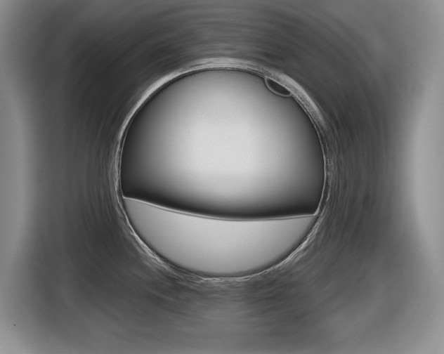 X0000116451244200912081407