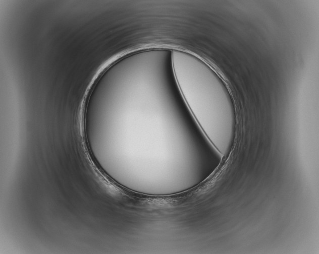 X0000116451246200912081407