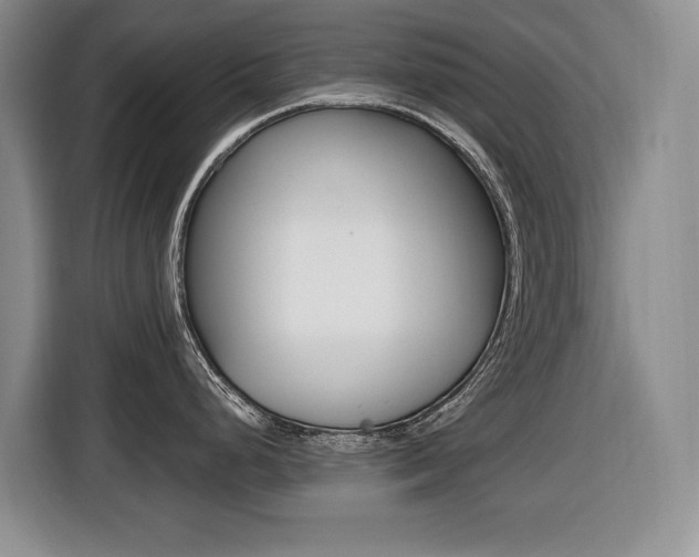 X0000116451248200912081407
