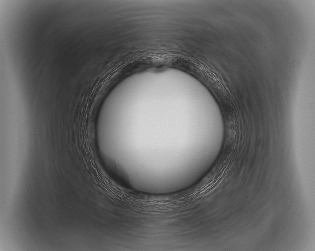 X0000116451249200912081406