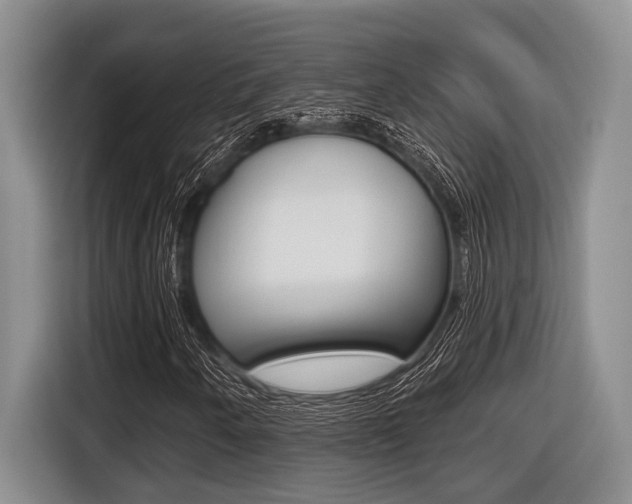 X0000116451250200912081406