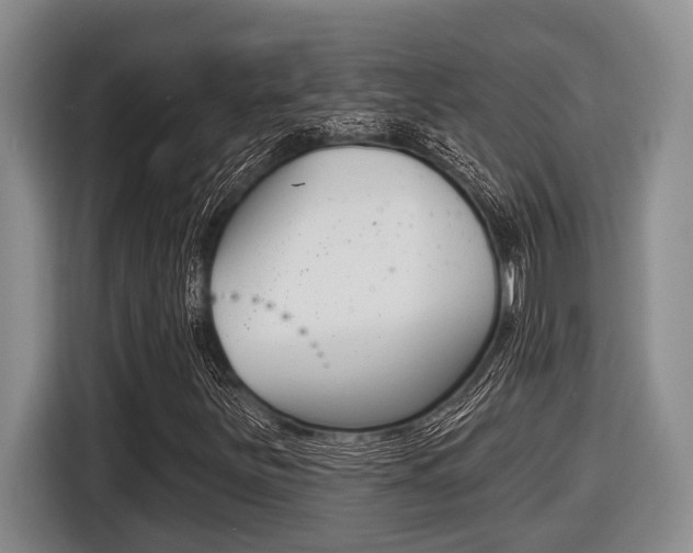 X0000116451251200912081406