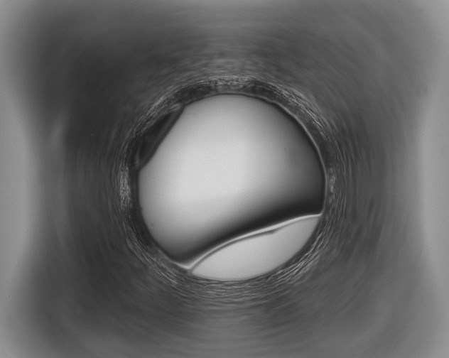 X0000116451252200912081406