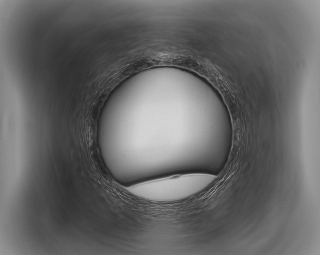 X0000116451253200912081406
