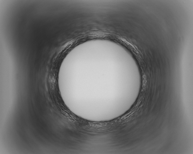 X0000116451254200912081406